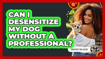 Can I Desensitize My Dog Without A Professional? - Obedient Dog Guide