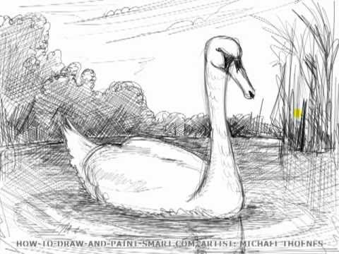 drawing lesson how to draw a swan mat youtube
