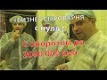 Сыроварня с нуля - Бизнес с оборотом до 2000 000 рублей / Крестьянская жизнь