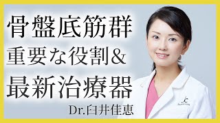 【骨盤底筋とは？】知られざる重要な役割