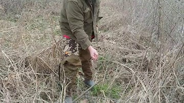 Setting a bobcat snare and some fun