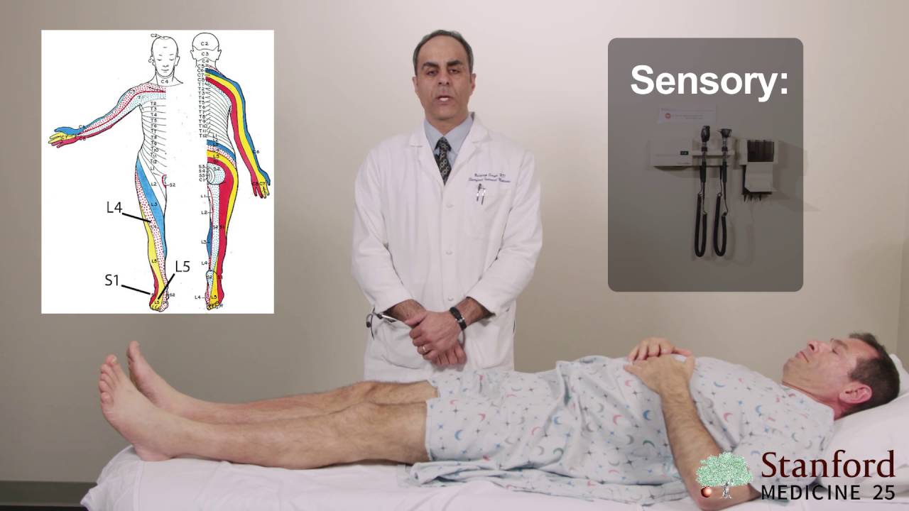 emg test for back pain