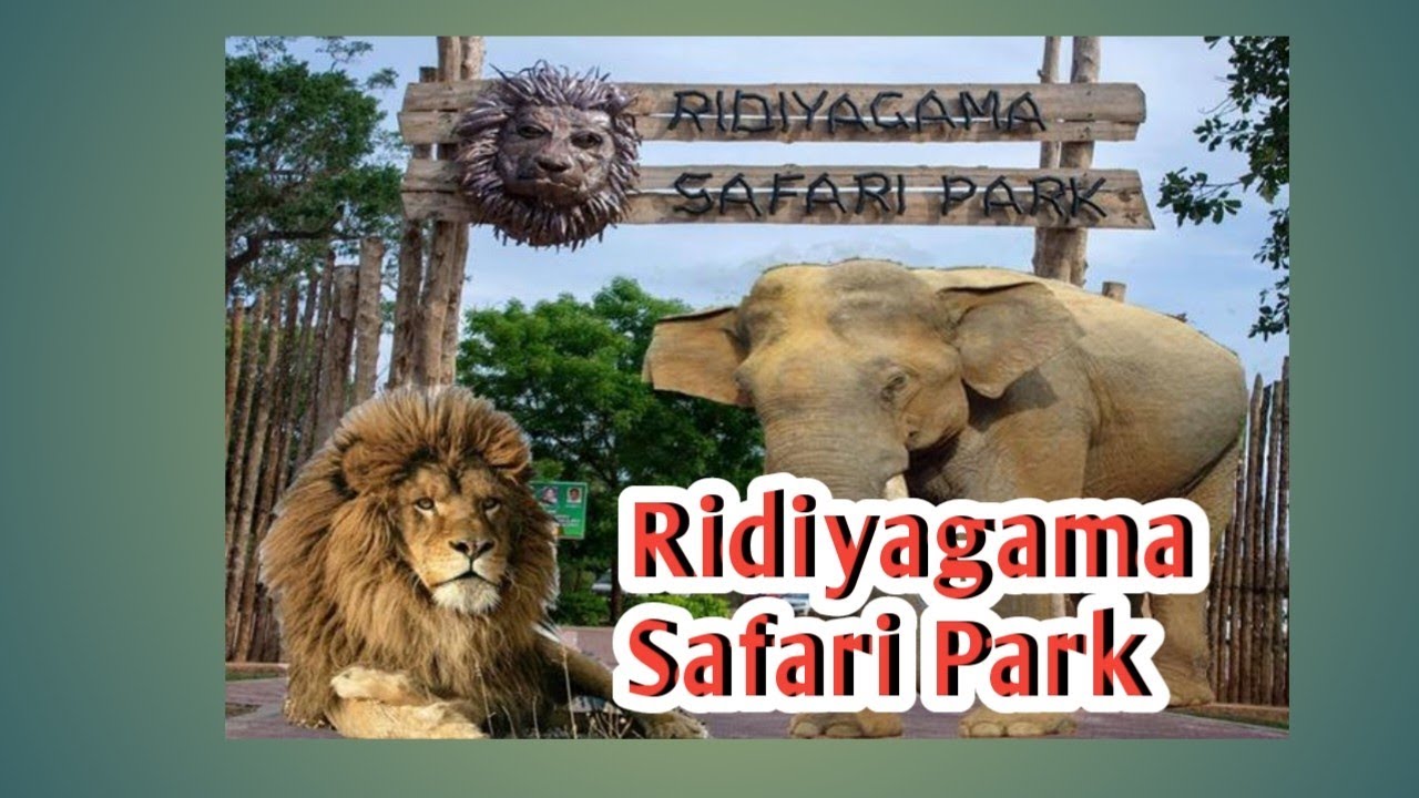 where is ridiyagama safari park