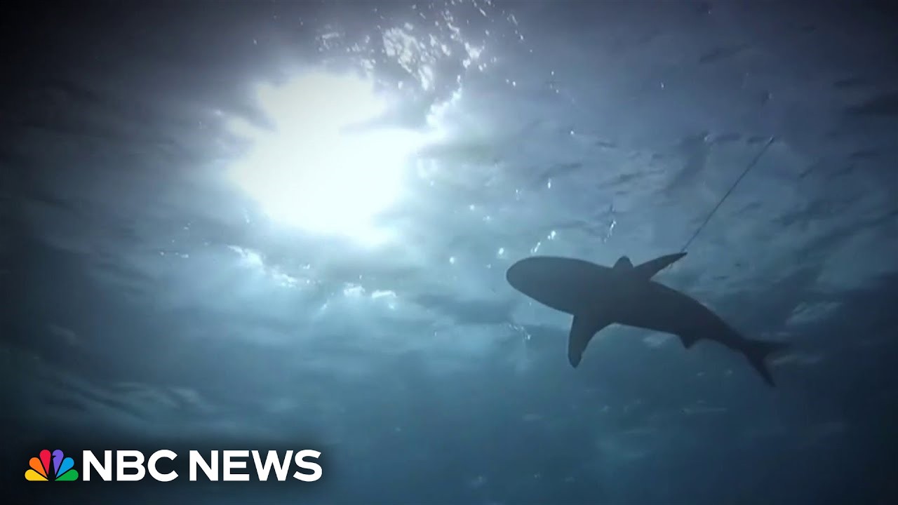 12-year-old boy saved by brother after shark attack in the Bahamas