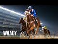 Waady gives trainer doug watson a grand slam of the first four races