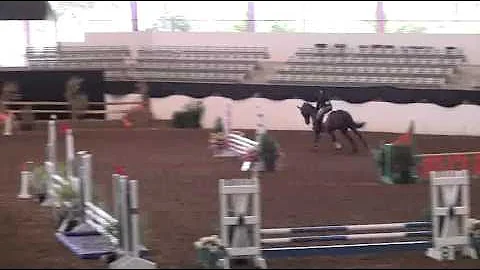 Video of DHEACON ridden by JOANNA SCHROEDER from S...