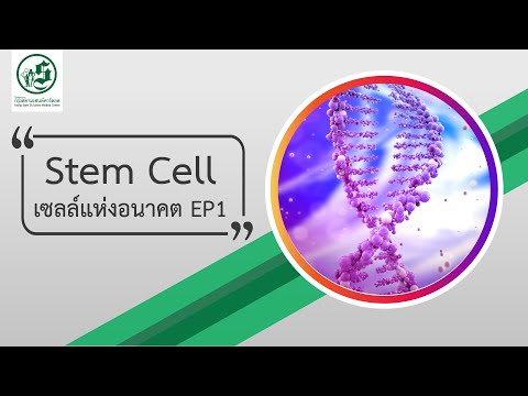 วีดีโอ: เซลล์ elodea คืออะไร?