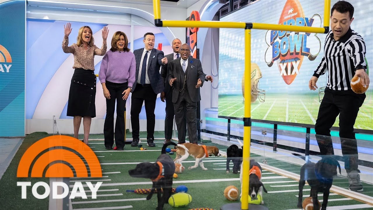 Team Fluff wins 2023 Puppy Bowl