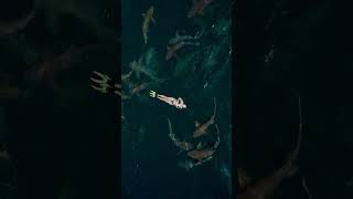Girl Floating on Water Surface as Nurse Sharks Swim Underneath