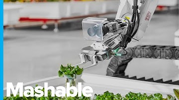 This Hydroponic Farm Is Run Entirely By Robots