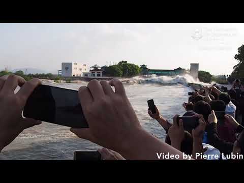 Tidal Bore Research At UQ S School Of Civil Engineering 