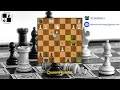 Queens gambit