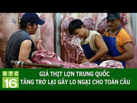 GIÁ THỊT LỢN TRUNG QUỐC TĂNG TRỞ LẠI GÂY LO NGẠI CHO TOÀN CẦU | VTC16