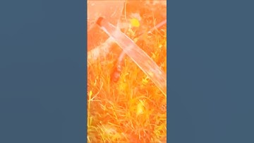 streamline flow| mechanical properties of fluid| by Ravi Mishra