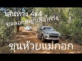 เส้นทาง 4x4 - ขุนห้วยแม่กอก Isuzu 4x4 ชมดอกพญาเสือโคร่ง (อ.เชียงดาว จ.เชียงใหม่  7 มค.65)