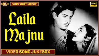 Laila Majnu - 1953 - Movie Video Songs Jukebox l Romantic Hit Songs l Nutan , Shammi Kapoor