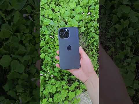 🔥OLED vs AMOLED Display | Who Will Win | Samsung vs Apple | #shorts #viral