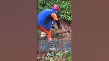 We should rename the Hands UP to SPEED UP!  #treerigging #hexarope #treeclimbing #treeclimber