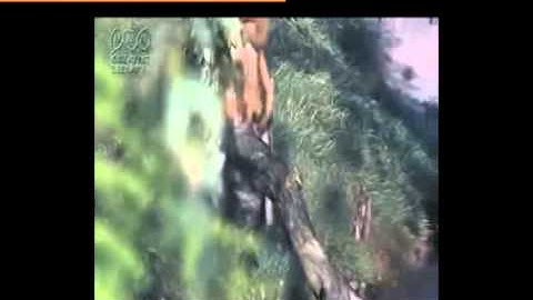 Error Concealment for Video Transmission