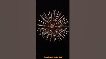 5 Inch Shell 125mm , Brocade to White Strobe Triplex (Export fajerwerki).