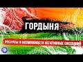 ГОРДЫНЯ. Ресурсы и возможности негативных состояний – Екатерина Самойлова