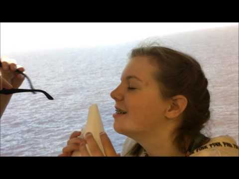 The Cay trailer 22343