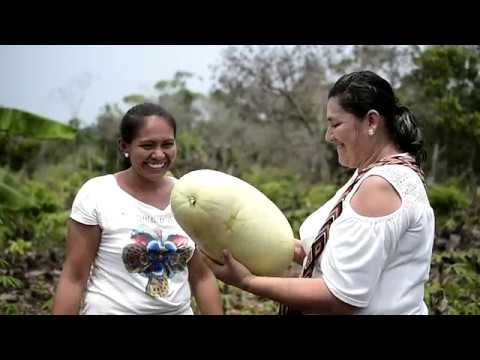 Colombia: Emprendimientos rurales en departamentos de frontera