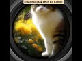 Коты-садовники