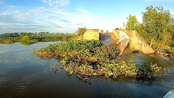 Remove Floating Plants Clogged On Dam Drain Water