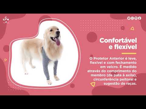 Protetores para Membros Anteriores - Pet Med