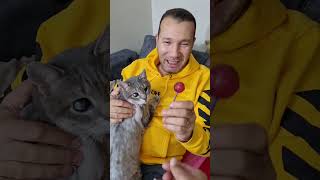 Kocama Fareli Şeker Şakası