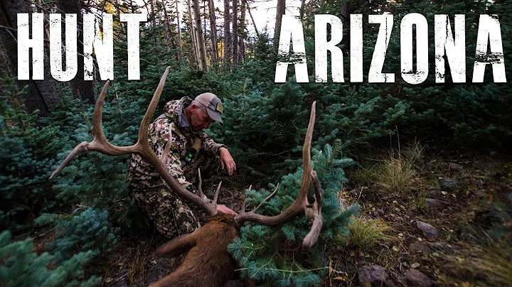 How To Hunt Elk and Antelope in Arizona | Applicat...