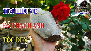 Tìm Hiểu Về Đá Thạch Anh Tóc Đen || Xem Ngay