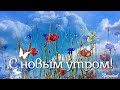 С новым утром, Добрым и прекрасным!