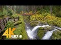 4k virtual hike  amazing nature scenery with soothing music  sol duc falls nature trail