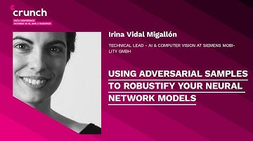 Using adversarial samples to robustify your Neural Network Models - Irina Vidal | Crunch 2019