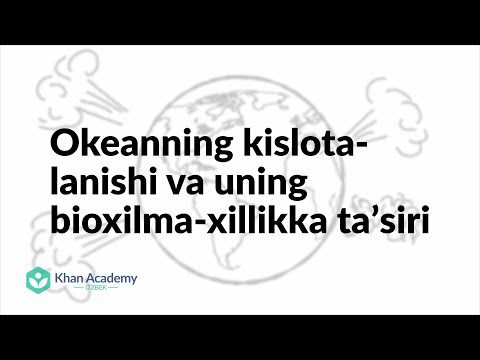 Video: Armut Konferentsiyasi: Xilma-xillikning Tavsifi Va Xususiyatlari, Afzalliklari Va Kamchiliklari, Ekish Va Parvarish Qilish Xususiyatlari + Fotosuratlar Va Sharhlar