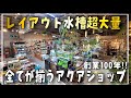 レイアウト水槽が超大量‼圧倒的在庫量で全てが揃う奇跡のアクアショップ吉田鑑賞魚さん‼ aquarium アクアリウム テラリウム 熱帯植物 金魚 熱帯魚 水草 流木 メダカ