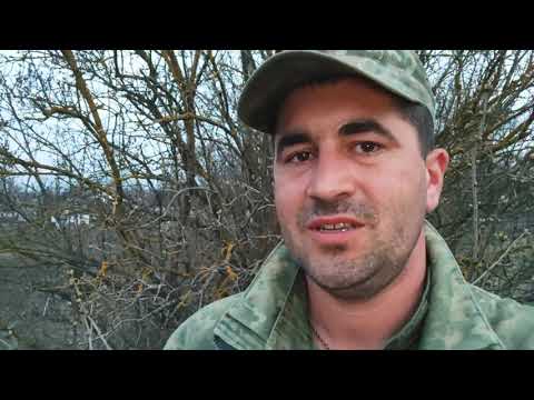 Пошук монет на