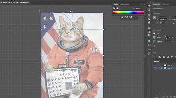 Space Cat design layout grid