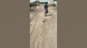 Job done ✅  horizontal directional drilling pilot