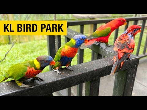 A Tour of Kuala Lumpur Bird Park