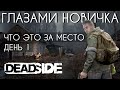 ВЫЖИВАНИЕ В ОТКРЫТОМ МИРЕ DEADSIDE - ПРОХОЖДЕНИЕ ДЕНЬ 1