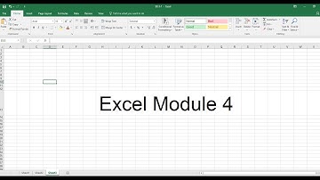 Excel Module 4 Video