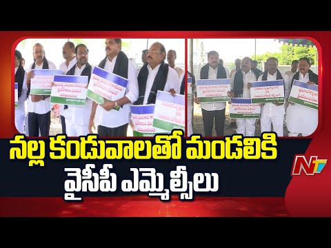 నల్ల కండువాలతో మండలికి వైసీపీ ఎమ్మెల్సీలు | NTV Telugu - NTVTELUGU