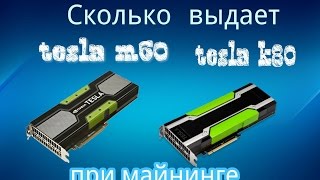 Сколько выдает Nvidia tesla m60 и k80 при майнинге Nicehash miner Сколько выдает Nvidia tesla m60 и k80 при майнинге Nicehash miner