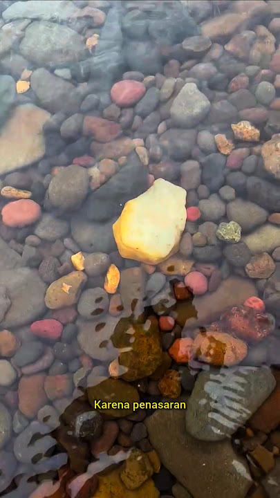 nemu batu kristal di sungai yg sangat jernih