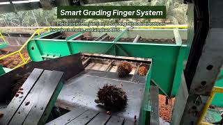AI Automated Grading System (AGATE 2.0) - Accelego
