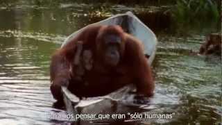 Symphony of Science - El Hilo Continuo - Carl Sagan - Sub. Español