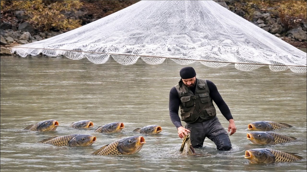 You Won’t Believe What Came Out: I Was Not Expecting This!